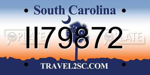 II79872 South Carolina License Plate