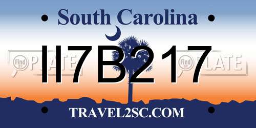 II7B217 South Carolina License Plate