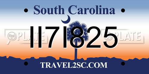 II7I825 South Carolina License Plate