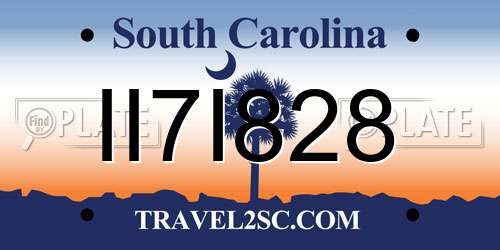 II7I828 South Carolina License Plate