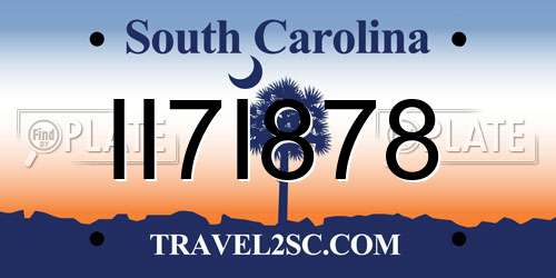 II7I878 South Carolina License Plate