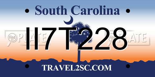 II7T228 South Carolina License Plate