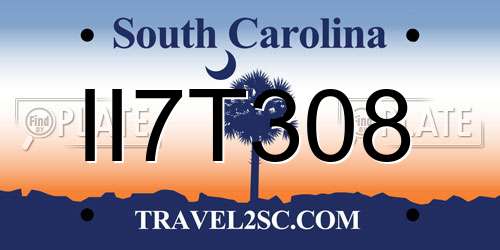 II7T308 South Carolina License Plate