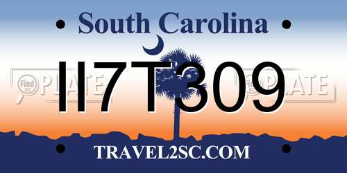 II7T309 South Carolina License Plate