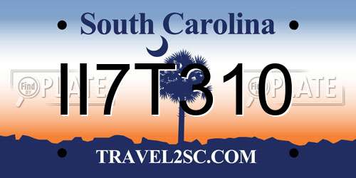 II7T310 South Carolina License Plate
