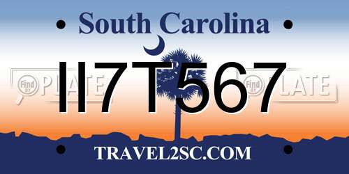 II7T567 South Carolina License Plate