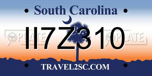 II7Z310 South Carolina License Plate