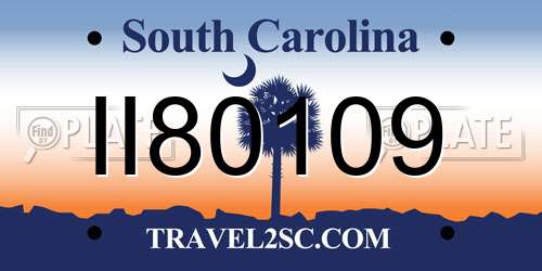 II80109 South Carolina License Plate