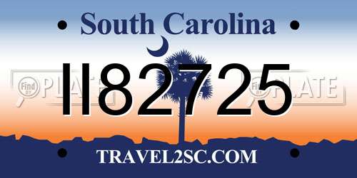 II82725 South Carolina License Plate