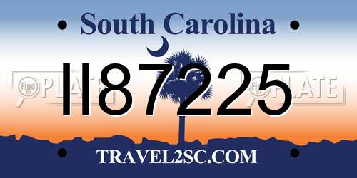 II87225 South Carolina License Plate