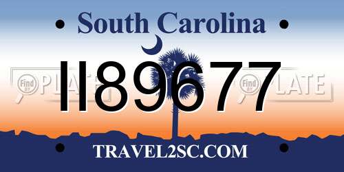 II89677 South Carolina License Plate