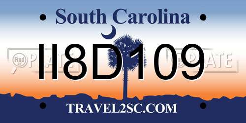 II8D109 South Carolina License Plate