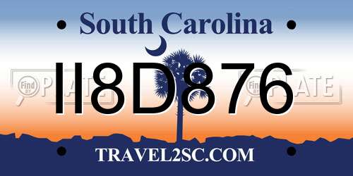 II8D876 South Carolina License Plate