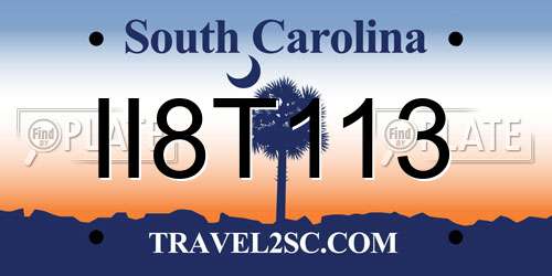 II8T113 South Carolina License Plate