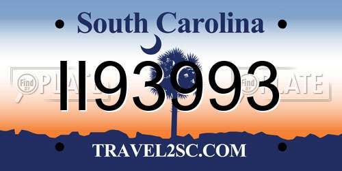 II93993 South Carolina License Plate