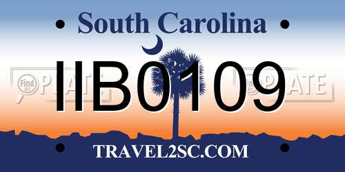 IIB0109 South Carolina License Plate