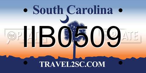 IIB0509 South Carolina License Plate