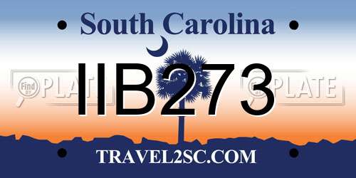 IIB273 South Carolina License Plate