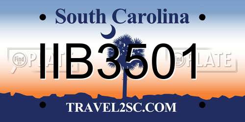 IIB3501 South Carolina License Plate