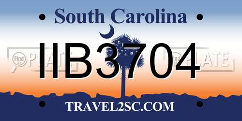 IIB3704 South Carolina License Plate
