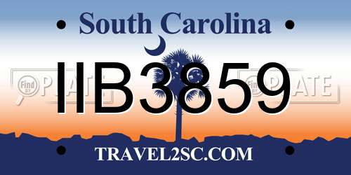 IIB3859 South Carolina License Plate