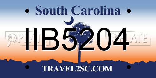 IIB5204 South Carolina License Plate