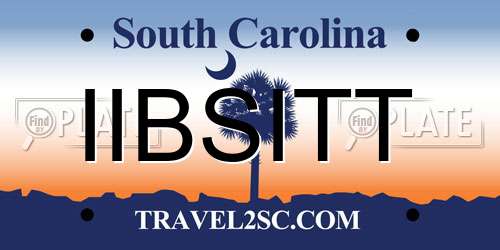 IIBSITT South Carolina License Plate