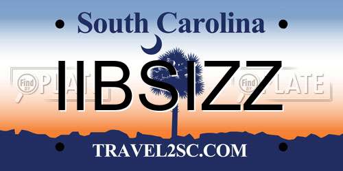 IIBSIZZ South Carolina License Plate