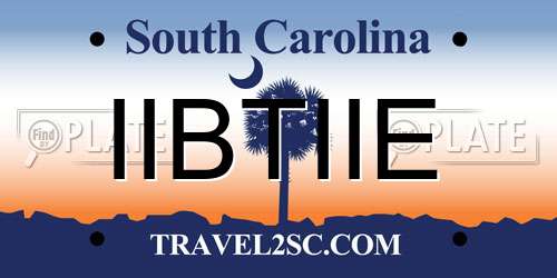 IIBTIIE South Carolina License Plate