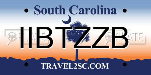 IIBTZZB South Carolina License Plate