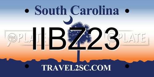 IIBZ23 South Carolina License Plate