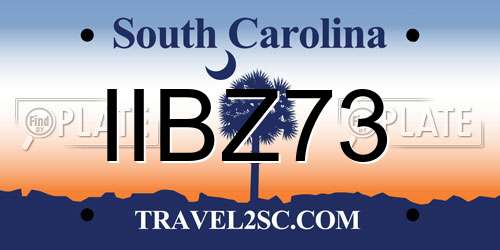 IIBZ73 South Carolina License Plate