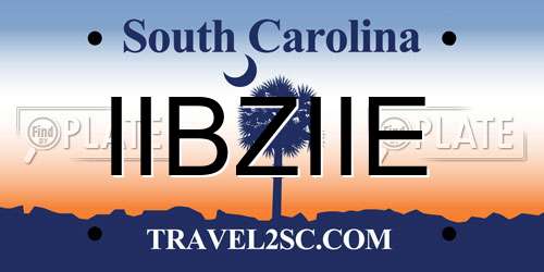 IIBZIIE South Carolina License Plate