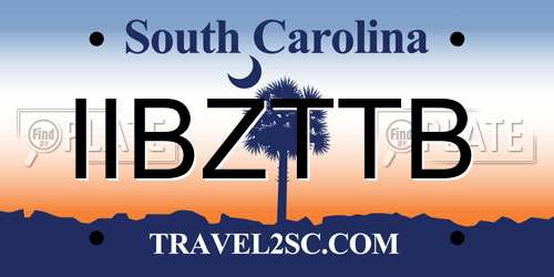 IIBZTTB South Carolina License Plate