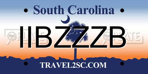 IIBZZZB South Carolina License Plate