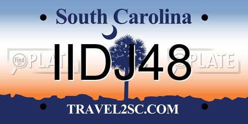 IIDJ48 South Carolina License Plate