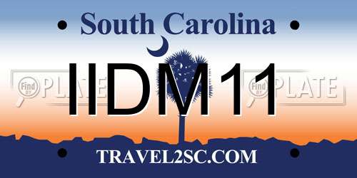 IIDM11 South Carolina License Plate