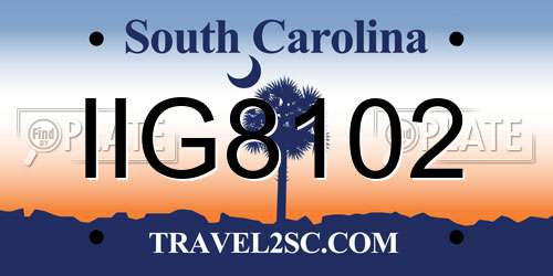 IIG8102 South Carolina License Plate
