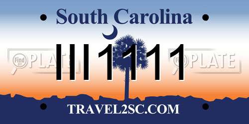 III1111 South Carolina License Plate