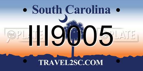 III9005 South Carolina License Plate