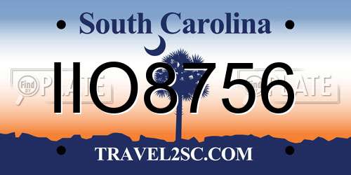 IIO8756 South Carolina License Plate