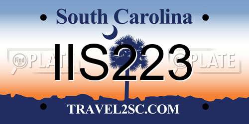 IIS223 South Carolina License Plate
