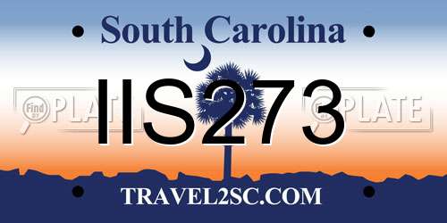 IIS273 South Carolina License Plate