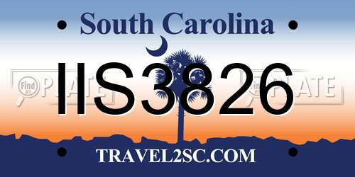 IIS3826 South Carolina License Plate