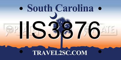IIS3876 South Carolina License Plate