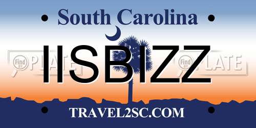 IISBIZZ South Carolina License Plate