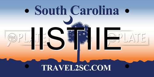 IISTIIE South Carolina License Plate