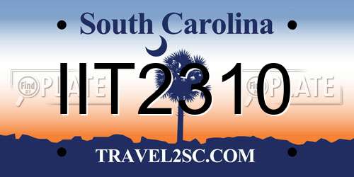 IIT2310 South Carolina License Plate