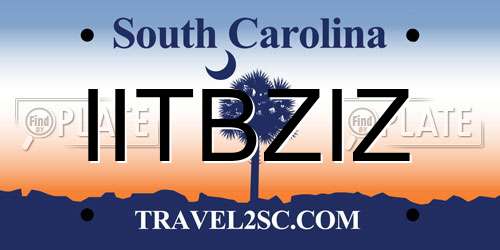 IITBZIZ South Carolina License Plate