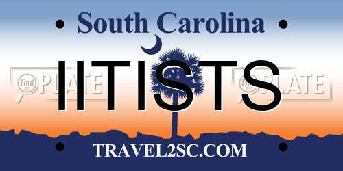 IITISTS South Carolina License Plate